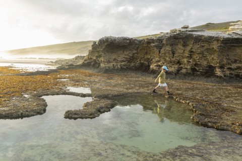 Boy exploring tidal pools