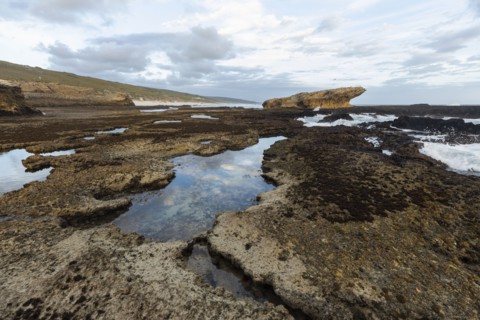 Rock formations and tidal pools