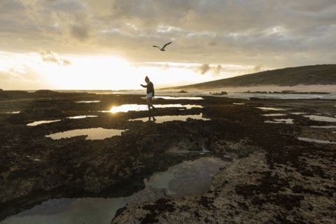 Girl exploring tidal pools
