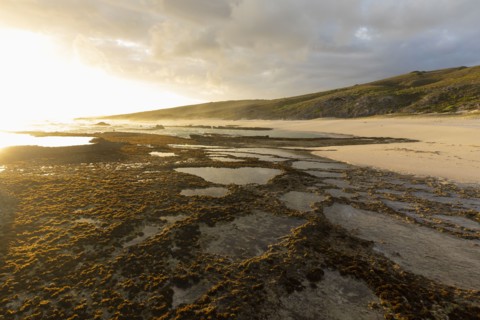 Tidal pools in Lekkerwater Nature Reserve