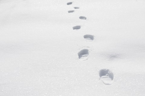 Footprints on snow