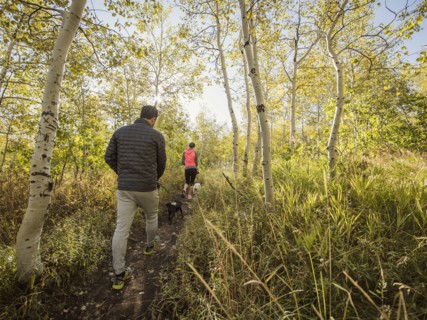 Rear view of couple with two dogs walking in forest
