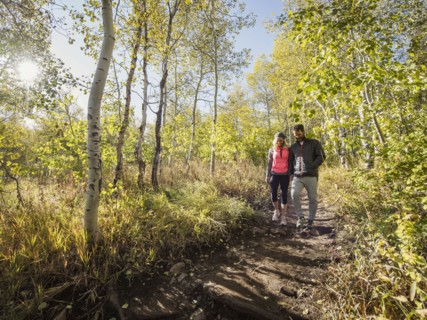 Couple walking in forest