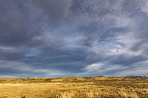 Golden grassland and stormy sky