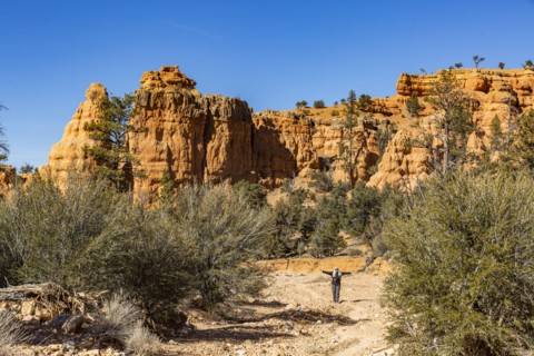 Senior hiker in rocky landscape
