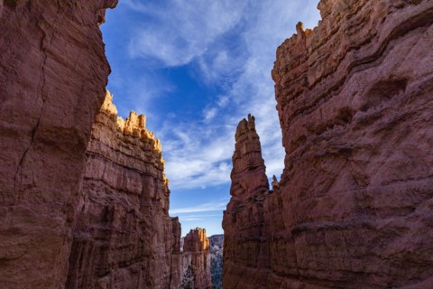Hoodoo rock formations in canyon