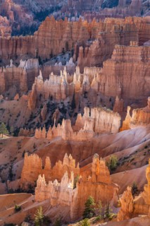Hoodoo rock formations in canyon