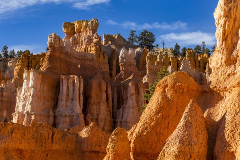 Hoodoo rock formations in canyon