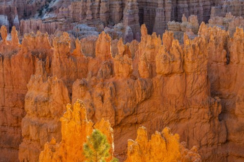 Hoodoo rock formations in canyon