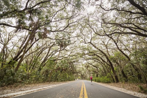 Woman jogging on treelined country road