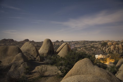 RVs camp in Joshua Tree National Park