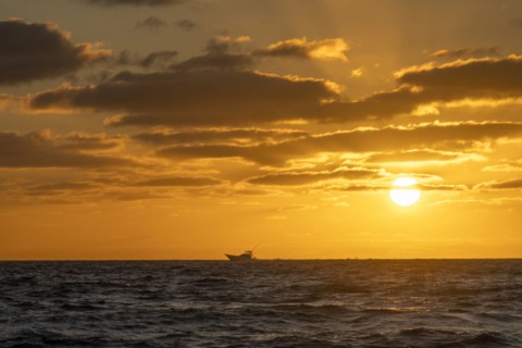 Small fishing boat in ocean at sunrise