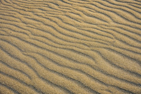 Close-up of rippled sand