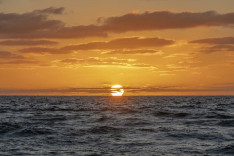 Sun rising above ocean