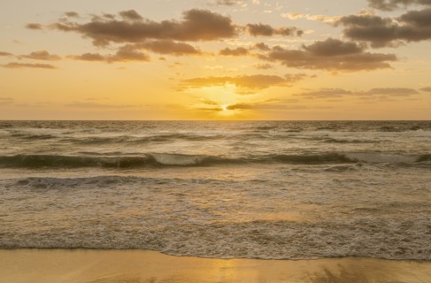 Sun rising above ocean