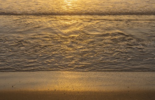 Ocean wave reflecting sunlight