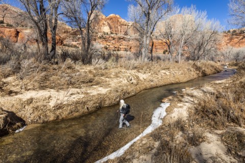 Senior female hiker