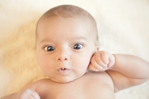 Portrait of baby (0-1month)