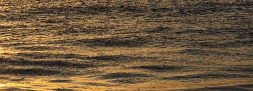 Calm ocean surface reflecting golden light at sunrise