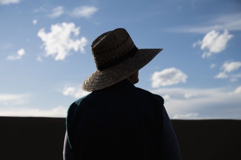 Rear view of woman in straw hat standing in desert landscape
