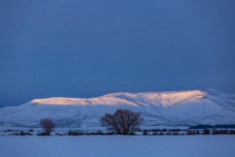 USA, Idaho, Bellevue, Snow covered field and hills at sunrise