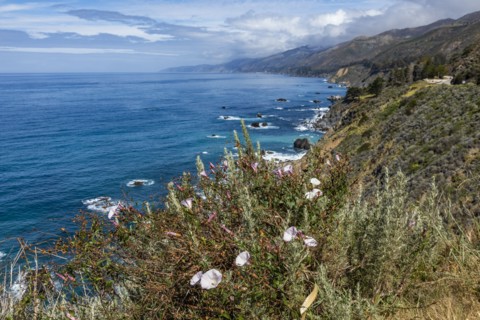 Ocean waves crashing against Big Sur coast