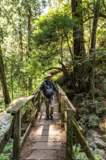 Senior man hiking through redwood forest near Mt Tamalpais