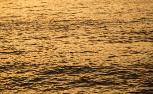 Calm ocean surface reflecting golden light at sunrise