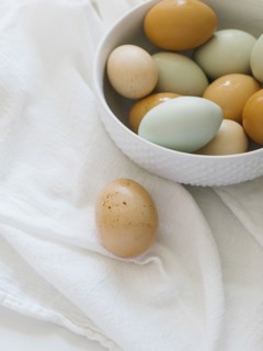 Farm fresh eggs in bowl