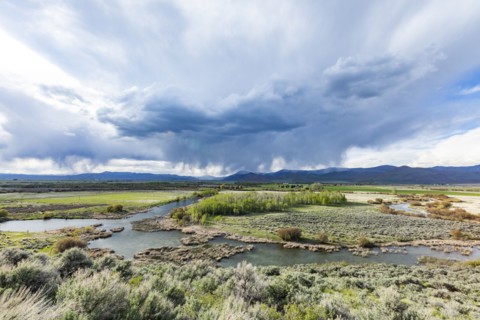 Stormy sky over wetlands