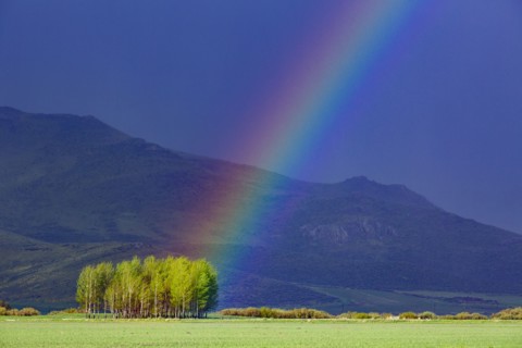Rainbow in rural area
