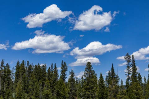 White clouds over forest near Sun Valley