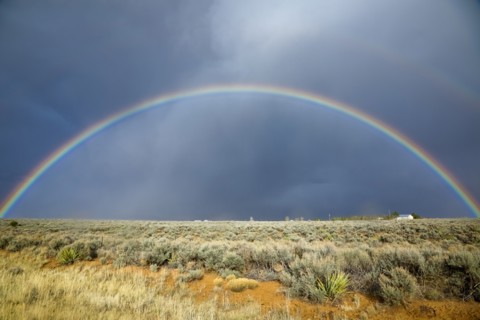 Rainbow over field