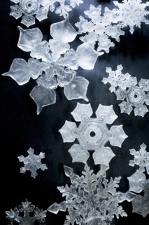Close-up of snowflakes