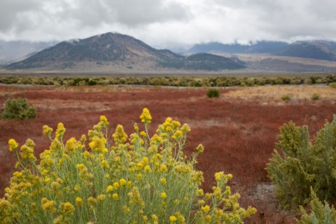 Landscape with mountains in background