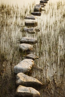 Stepping stones in lake