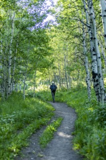 Senior man hiking in forest