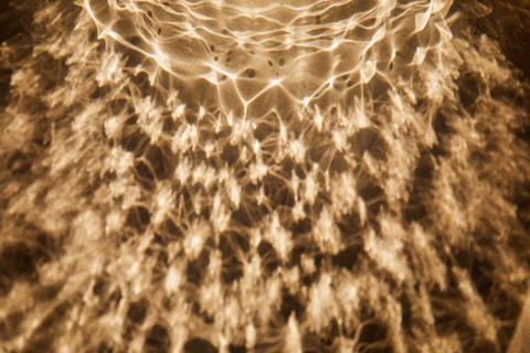 Abstract brown pattern