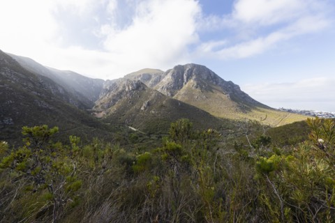 South Africa