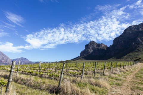 South Africa