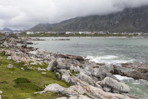 South Africa