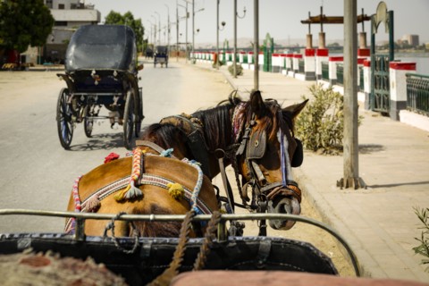 Egypt