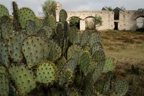 Mexico