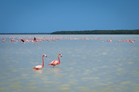 Mexico