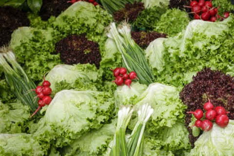 Fresh vegetables at farmers market