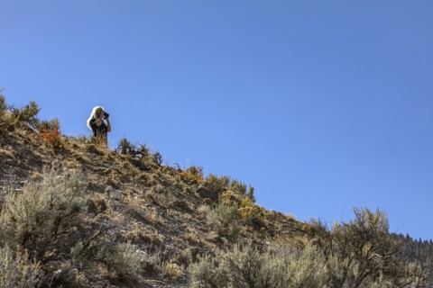 Woman using binoculars in nature