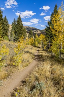 Hiking trail through the forest in fall