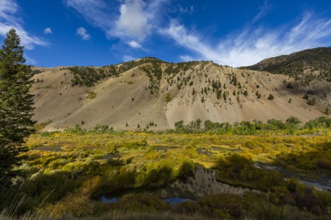 Beaver ponds in valley