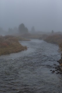 Creek flows through meadow on foggy morning