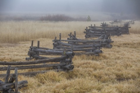 Rural scene with rail fence
